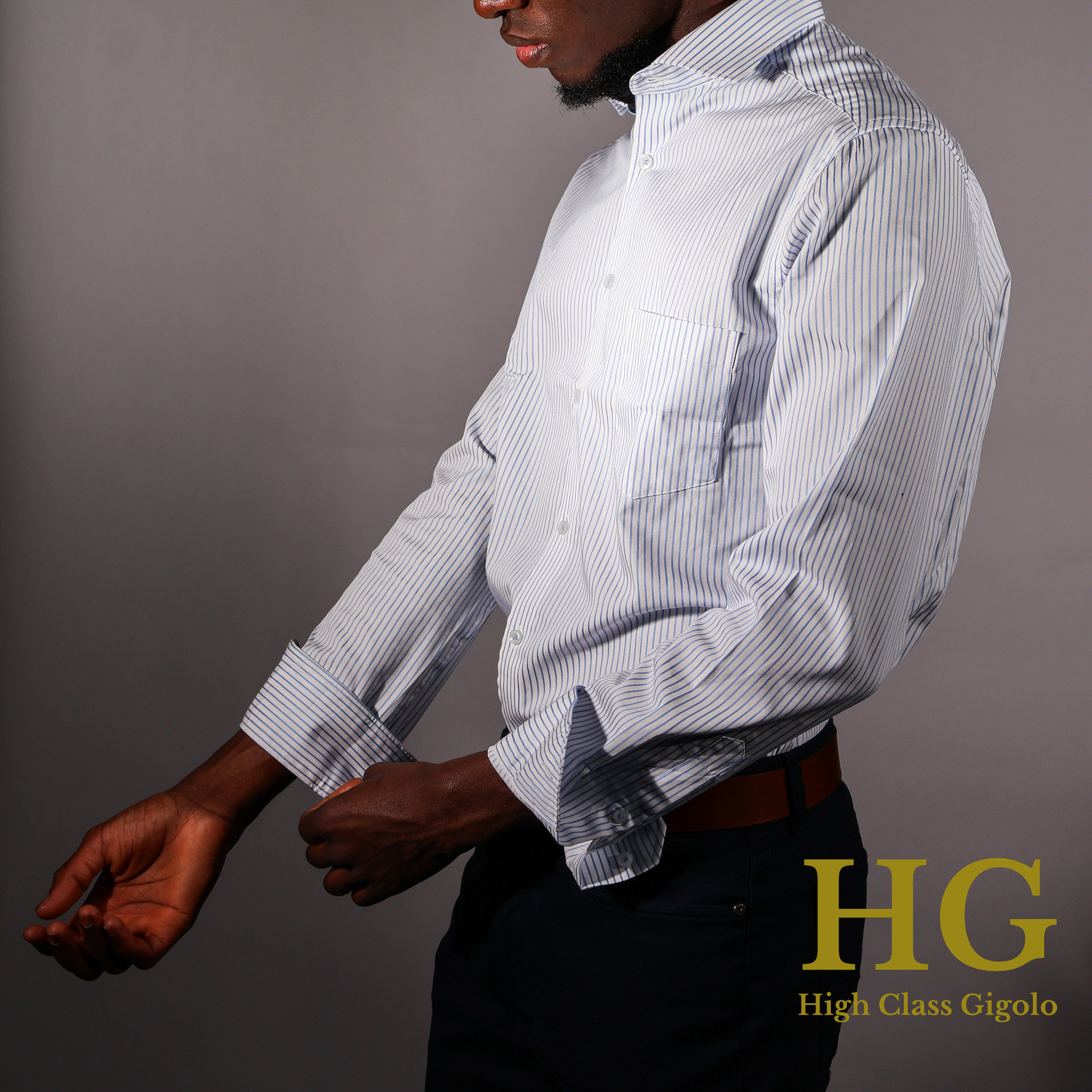 HG - High Class Gigolo